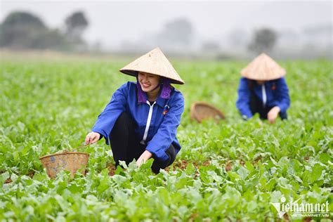 Bạo động nông dân thứ hai năm 879: Cuộc nổi dậy chống lại chế độ quan liêu và áp bức của giới quý tộc Silla.